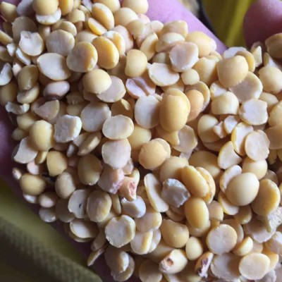 脱皮黄豆掰黑豆掰各种等级规格常年供应黄豆黑豆瓣