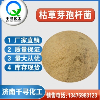 供应销售 枯草芽胞杆菌 农用水产养殖用微生物菌剂枯草芽胞杆菌