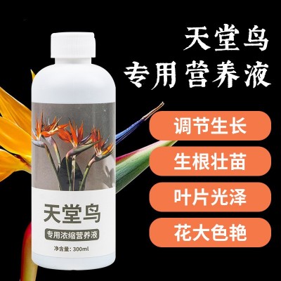 天堂营养液专用家用盆栽花卉植物通用型黄叶卷边适用肥氮磷钾通用