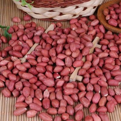 批发四粒红花生米生鲜货东北四粒红农家花生粒25kg红皮小粒花生果