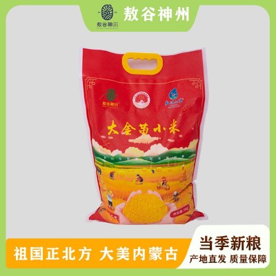 内蒙古赤峰敖汉黄小米5kg手提袋装农家一类小米杂粮大金苗敖谷神