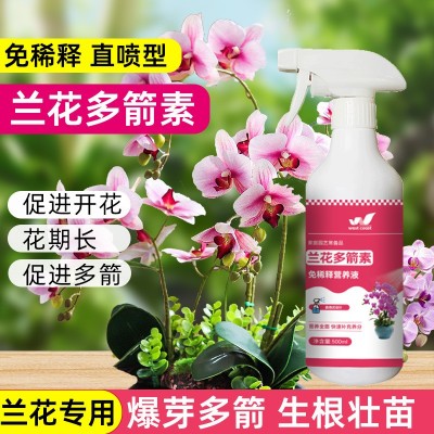 兰花多箭素营养液爆芽多箭延长花期促花治黄叶有机肥