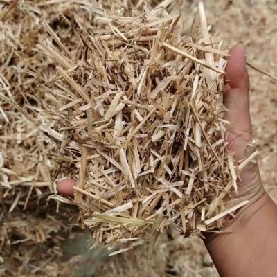 麦秸秆 小麦原料 木纤维 羊 青干草料 明杰牧业 压捆供应