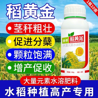 水稻专用肥稻黄金返青分蘖灌浆生根壮苗壮穗谷子增产叶面肥正品