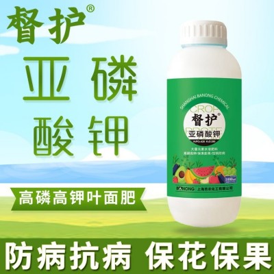 高磷高钾 大量元素水溶肥膨果转色肥 液体肥 农资批发