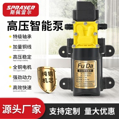 福达直销12v微型隔膜泵 家用自吸智能增压泵 高压电动喷雾器水泵