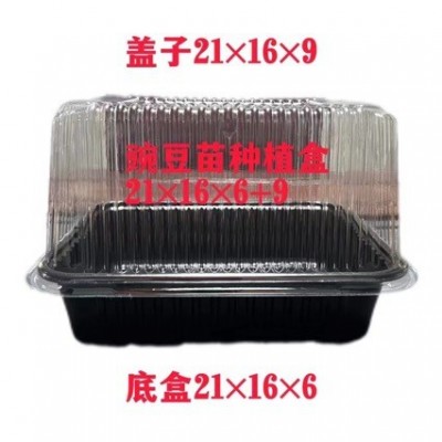 批发活体育苗盒芽苗菜种植盒1000个/件 圆形育苗盘750个/件