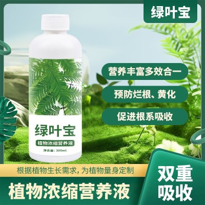 绿叶营养液黄叶死苗解决黄叶叶面肥花卉蔬菜果树家用通用一喷绿