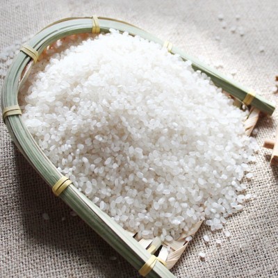 海安当季新米大米 口感软糯米质饱满软香大米 厂家供应