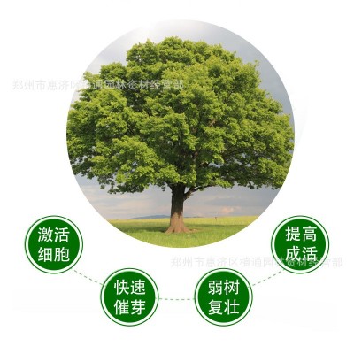 双嘉大树吊针液原液移栽复合液移植营养浓缩吊针液果树注射营养液