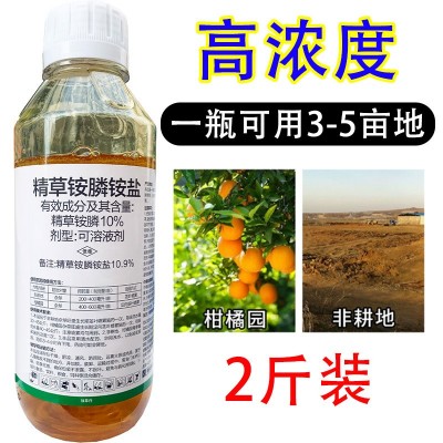 10%精草铵膦铵盐除草剂 1000克 非耕地杂草除草剂 精草安磷