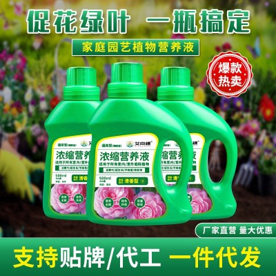 批发艾尚棵植物浓缩营养液通用家用室内绿植花卉花肥料多肉幸福树