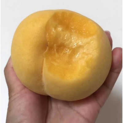 大果早黄美脆，早熟黄桃新品种