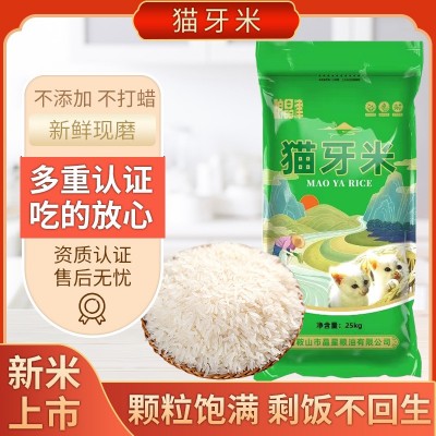 猫呀大米一袋50斤长粒新米晚稻丝苗米蛋炒饭猫牙米煮饭10斤批发