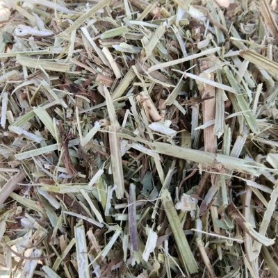 花生秧 牛羊饲料用 纯干花生茎加工青贮 植物纤维营养价值