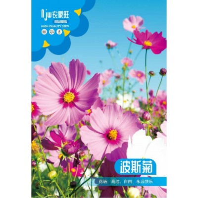 花卉种子批发满天星太阳花波斯菊百日草向日葵含羞草薄荷碗莲荷花