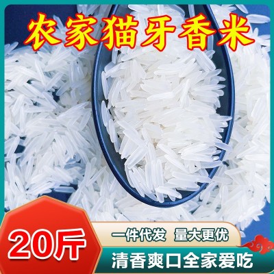 【猫牙香米】新米新鲜煮饭软糯长粒香大米优质南方大米20斤