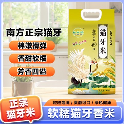 2024年新米正宗长粒猫牙香米蛋炒饭米长粒香米煲仔饭猫牙米