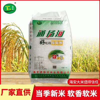 海安当季新米批发 米质饱满口感软糯通扬河大米 厂家供应