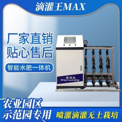 德润达 水肥一体机厂家批发 智能施肥机 自动施肥器