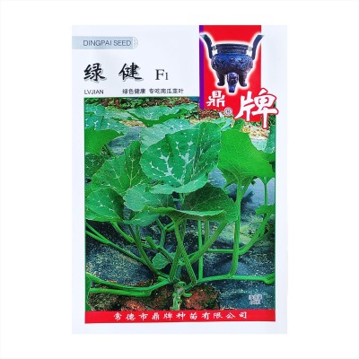 鼎牌绿健 专吃南瓜茎叶 南瓜藤种子茎叶柔软清爽无涩味 80粒