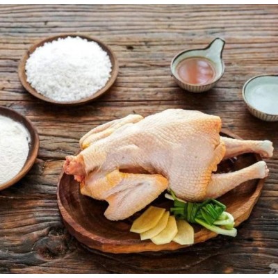 广州土鸡广州正宗跑山土鸡