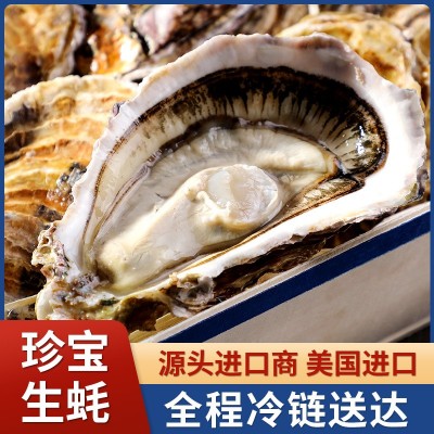 进口法国水晶琳达生蚝整箱大量原产地批发牡蛎鲜活生蚝招代理自用