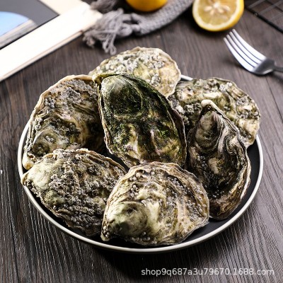 进口法国水晶琳达生蚝整箱大量原产地批发牡蛎鲜活生蚝招代理自用图3