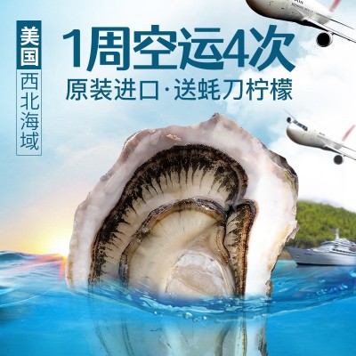 进口法国水晶琳达生蚝整箱大量原产地批发牡蛎鲜活生蚝招代理自用图2