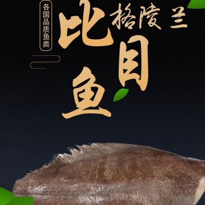 冷冻格陵兰比目鱼鲽鱼 海鲜批发黑鲽鱼冷链直达 诚招代理 4斤