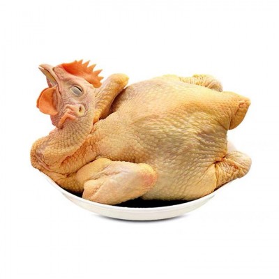 广东清远黄油鸡厂家直销 黄皮黄油鸡农家鸡现杀发货