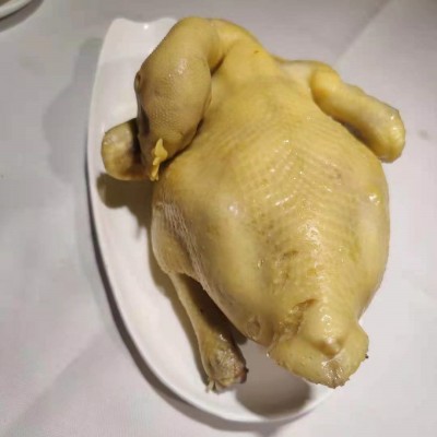 广东清远黄油鸡厂家直销 黄皮黄油鸡农家鸡现杀发货图3