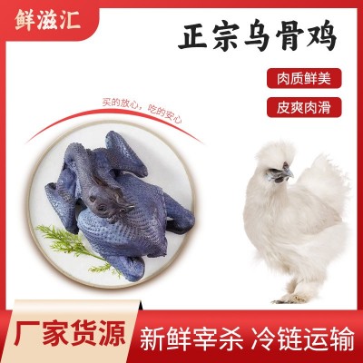 佛山现杀竹丝鸡煲汤佳品生鲜竹丝鸡批发新鲜土鸡农家散养乌鸡 10斤