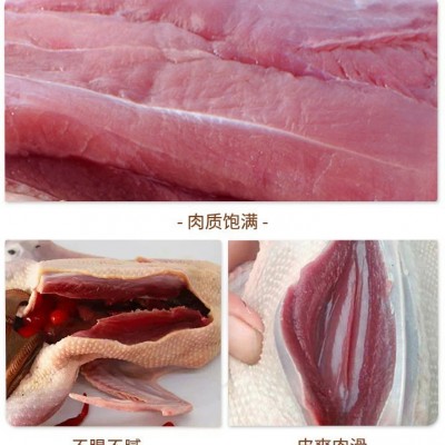 农家散养新鲜青头鸭老鸭现杀绿头鸭子肉整只麻鸭冷链发货 10只图3