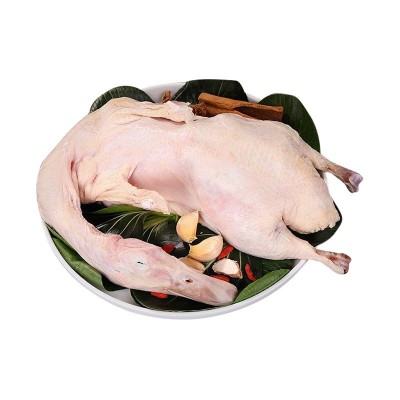 农家散养新鲜青头鸭老鸭现杀绿头鸭子肉整只麻鸭冷链发货 10只图5