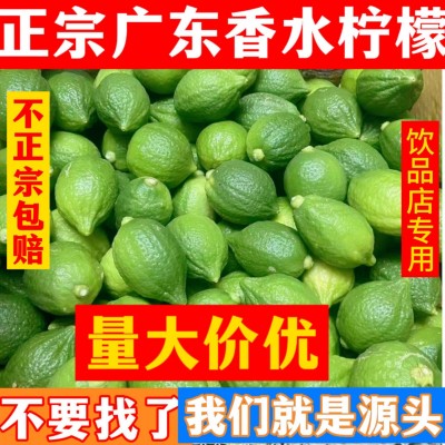 广东香水柠檬新鲜野生青柠檬无籽大果特级果应当季水果奶茶店专用 5斤图3