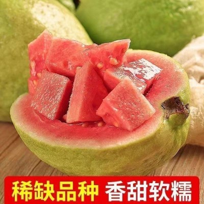 广西软糯红心芭乐5斤新鲜水果番石榴脆甜软糯胭脂红巴乐整箱包邮3 2斤
