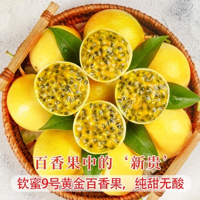广西钦蜜9号黄金百香果10新鲜水果当季整箱百香果包邮大原果浆5斤图5