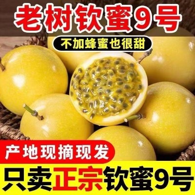 广西钦蜜9号黄金百香果10新鲜水果当季整箱百香果包邮大原果浆5斤图4