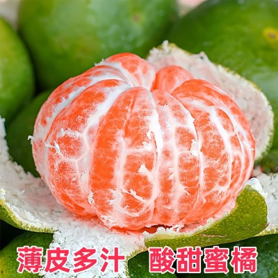 临海涌泉早熟蜜橘青皮橘子新鲜桔子孕妇应季时令水果整箱蜜桔 1箱图2