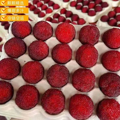 浙江仙居东魁新鲜杨梅鲜果当季水果现摘现发顺丰冷链颗粒礼品图3