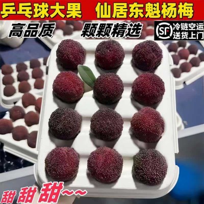 浙江仙居东魁新鲜杨梅鲜果当季水果现摘现发顺丰冷链颗粒礼品