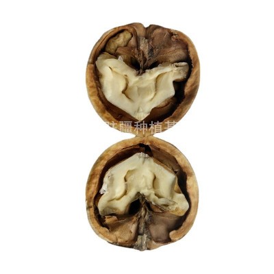 干货坚果零食核桃仁 山西现货批发核桃仁厂家生 产批发图4