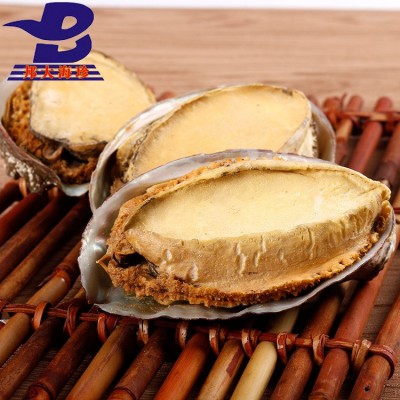 邦大海珍 产地批发FD带壳冻干鲍鱼散装批发 渤海湾特产冻干鲍鱼干