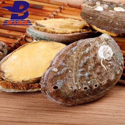 邦大海珍 产地批发FD带壳冻干鲍鱼散装批发 渤海湾特产冻干鲍鱼干图4