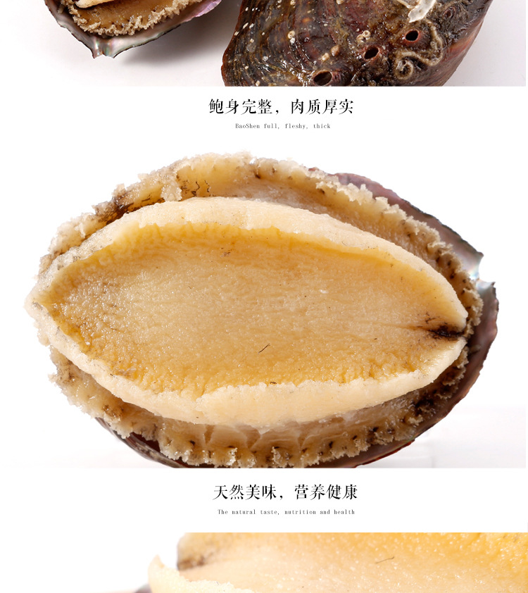 冷冻即食鲍鱼_07