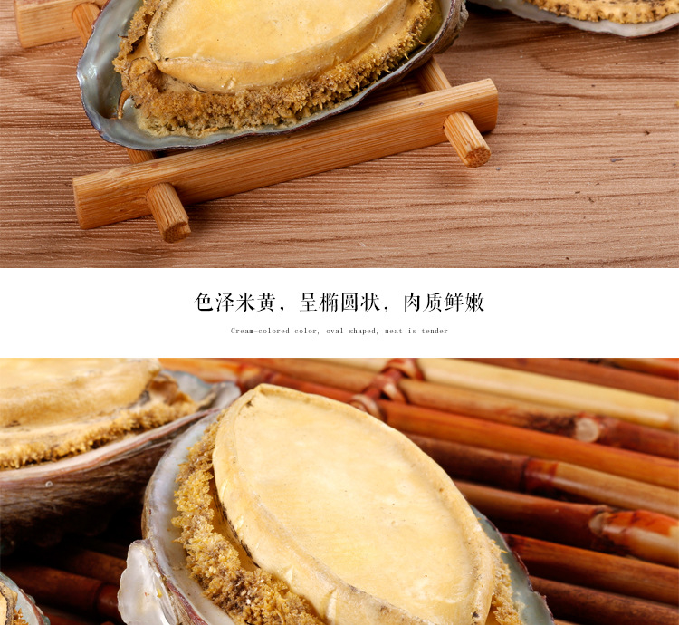 冻干即食鲍鱼_07