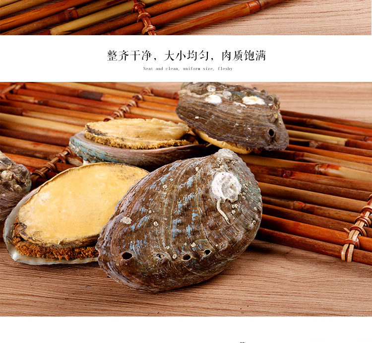 冻干即食鲍鱼_09