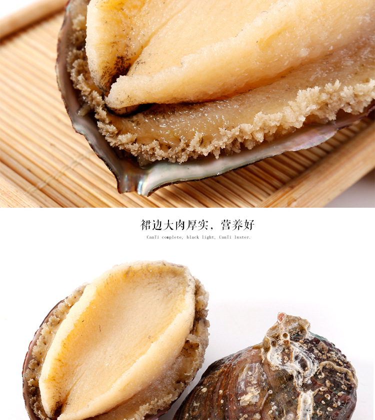 冷冻即食鲍鱼_08