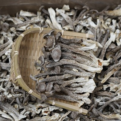 500g鹿茸菌散装批发 干货厂家直供鹿茸菇 食用菌酒店食材批发天然图3